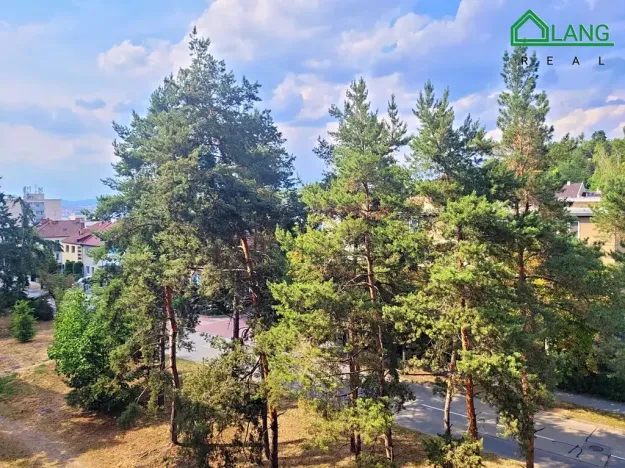Pronájem bytu 2+1, Brno, Souběžná, 56 m2