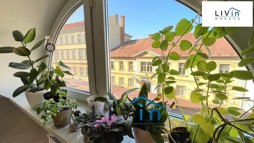 Pronájem bytu 1+kk, Olomouc, Sokolská, 52 m2