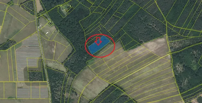 Prodej podílu lesa, Černěves, 892 m2