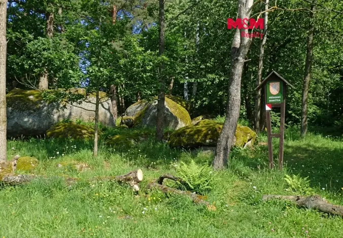 Prodej lesa, Petrovice - Žemličkova Lhota, 7042 m2