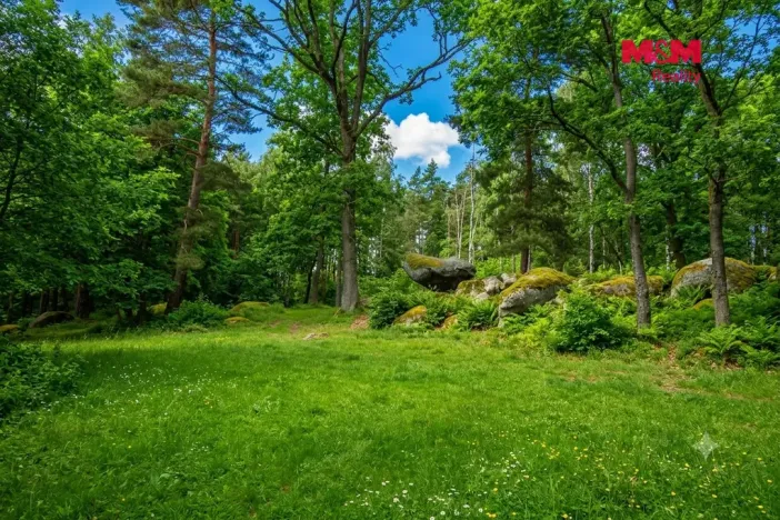 Prodej lesa, Petrovice - Žemličkova Lhota, 7042 m2
