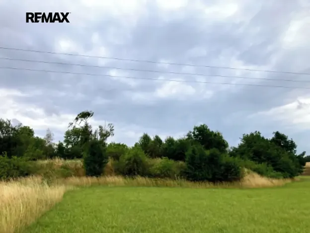 Prodej pozemku, Číčovice, 5606 m2