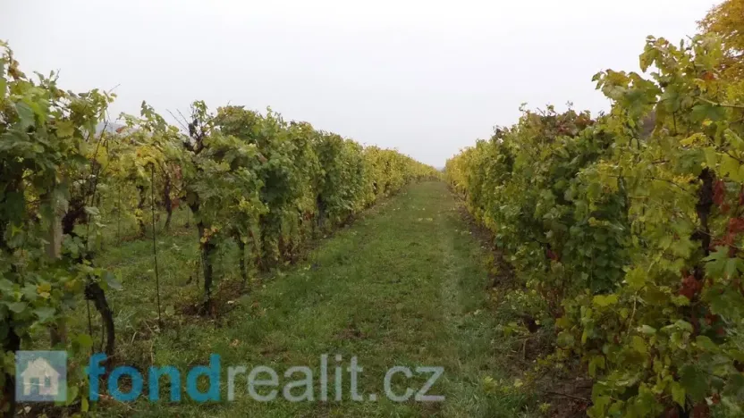 Prodej pozemku, Morkůvky, 4541 m2