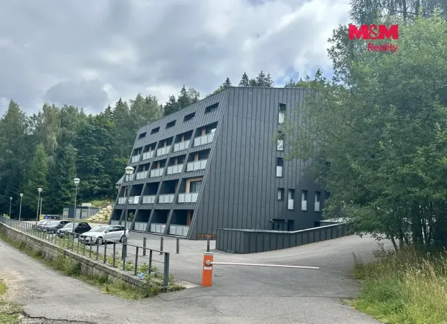 Prodej bytu 1+kk, Janov nad Nisou, 25 m2