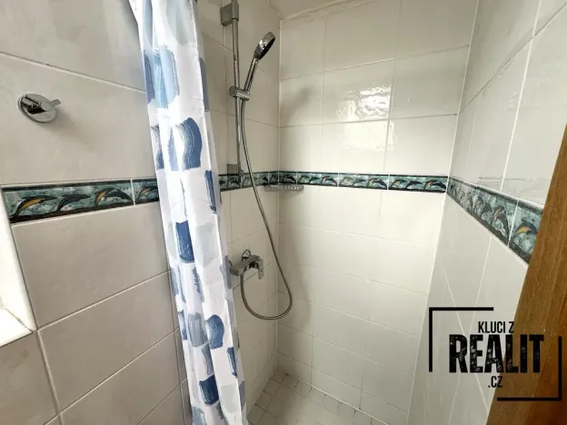 Pronájem bytu 1+kk, Praha - Žižkov, Seifertova, 45 m2