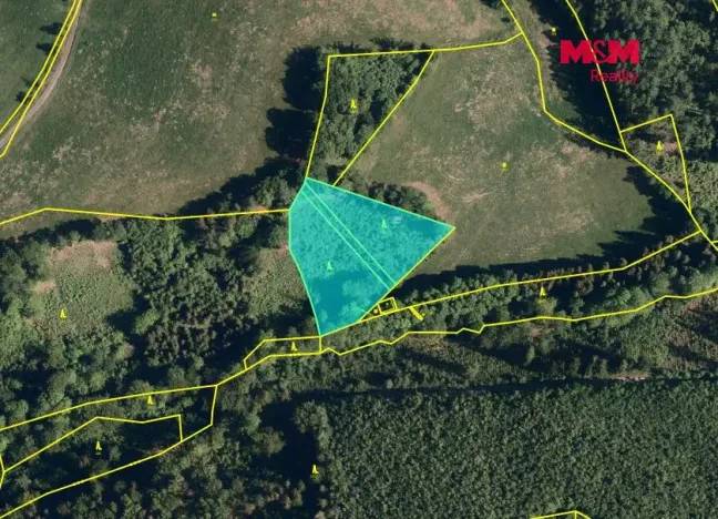 Prodej lesa, Hranice - Hranice IX-Uhřínov, 5050 m2