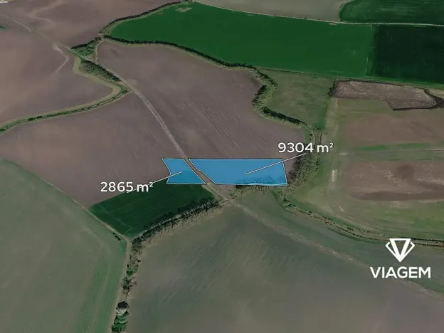 Prodej podílu pole, Běrunice, 1521 m2