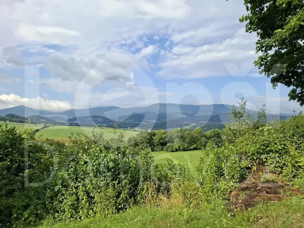 Prodej zahrady, Jeseník, Za Pilou, 533 m2