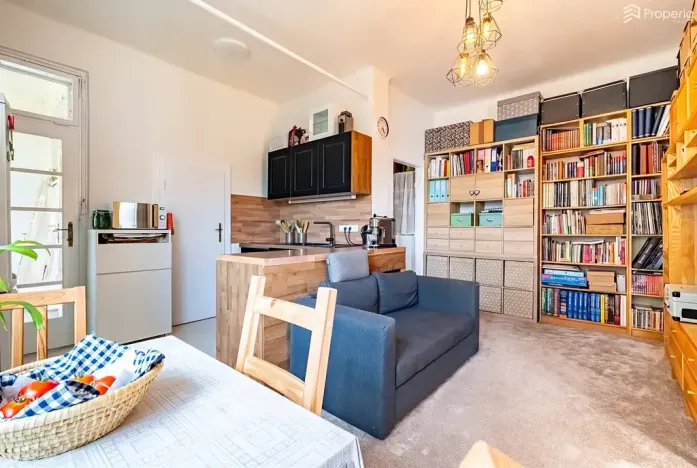Prodej bytu 1+1, Brno, Pod kaštany, 49 m2