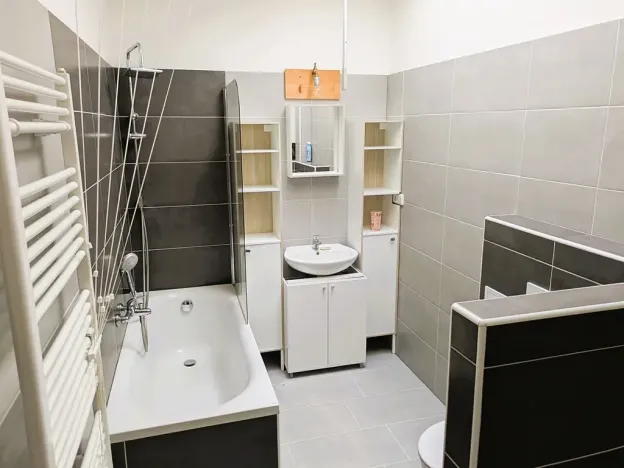 Pronájem bytu 1+1, Brno, Vlhká, 51 m2