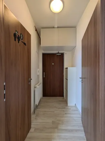 Pronájem bytu 1+1, Brno, Vlhká, 51 m2