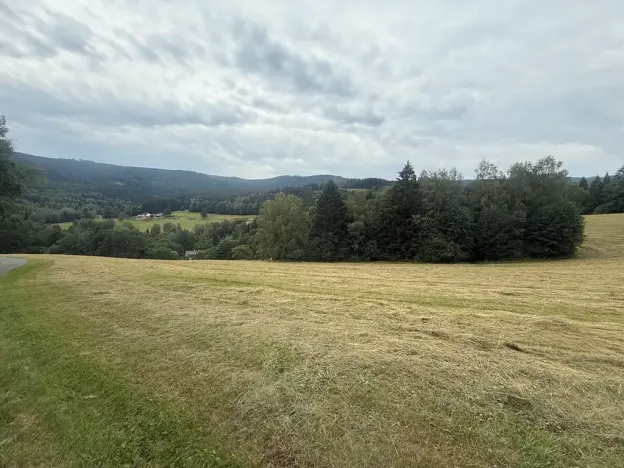 Prodej louky, Hamry, 84928 m2