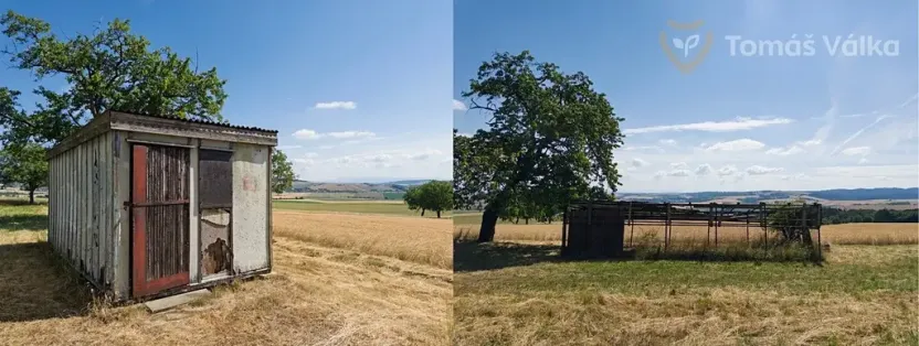 Prodej sadu/vinice, Troubky-Zdislavice, 19632 m2