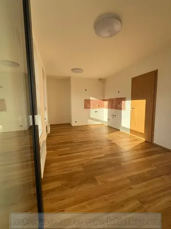 Pronájem bytu 1+kk, Praha - Hostavice, 32 m2