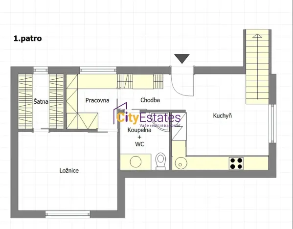Prodej bytu 2+1, Praha - Žižkov, Viklefova, 110 m2