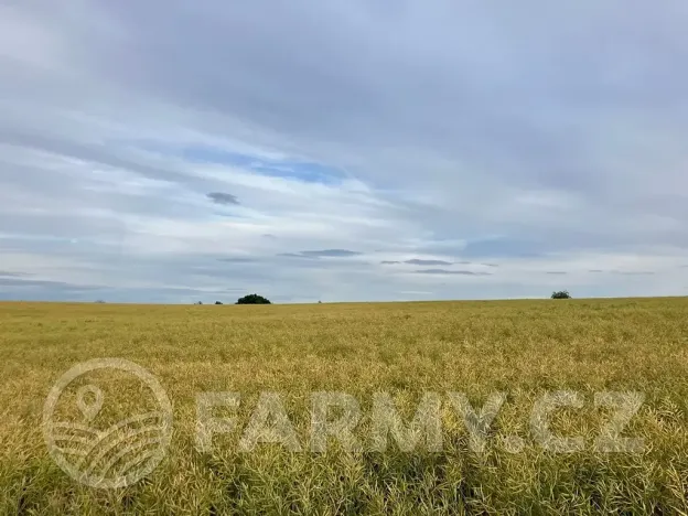 Prodej pole, Cerekvička-Rosice, 71148 m2