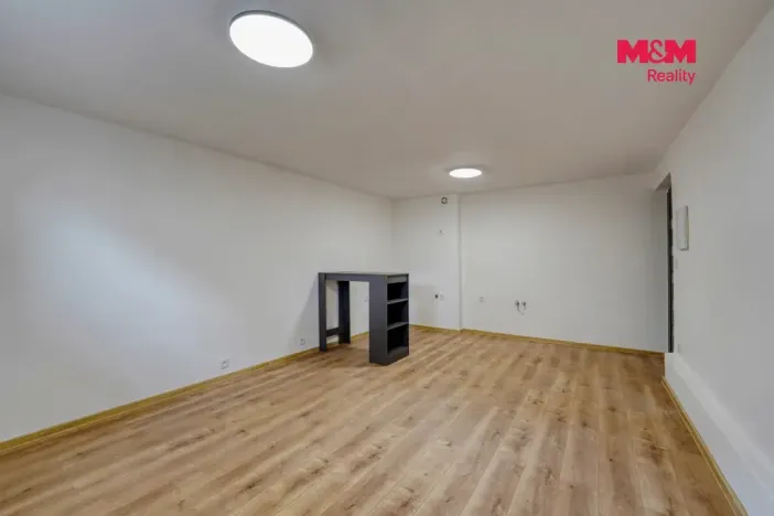 Prodej obchodního prostoru, Plzeň - Východní Předměstí, Ořechová, 26 m2