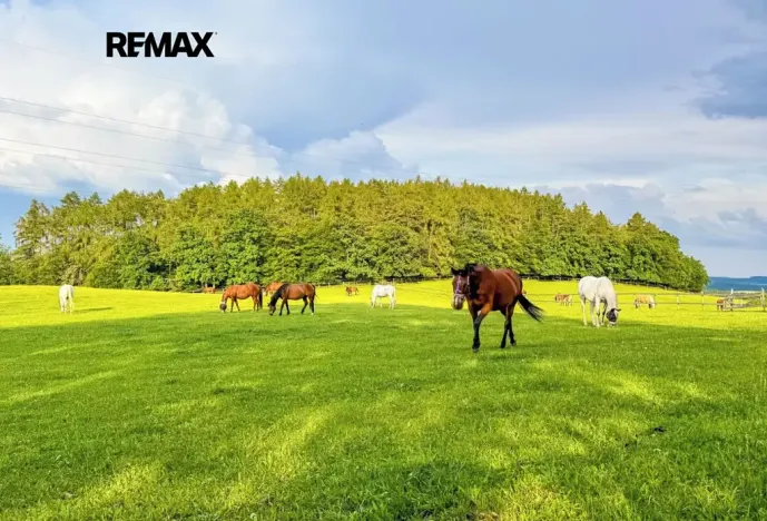 Prodej pozemku pro bydlení, Lhenice, 1463 m2