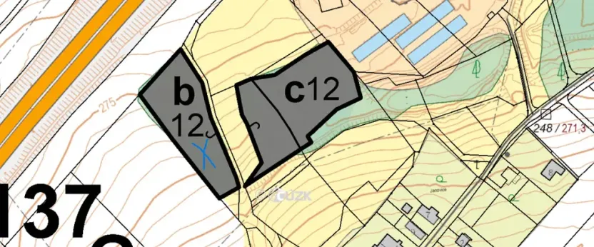 Prodej lesa, Olbramice, 4170 m2