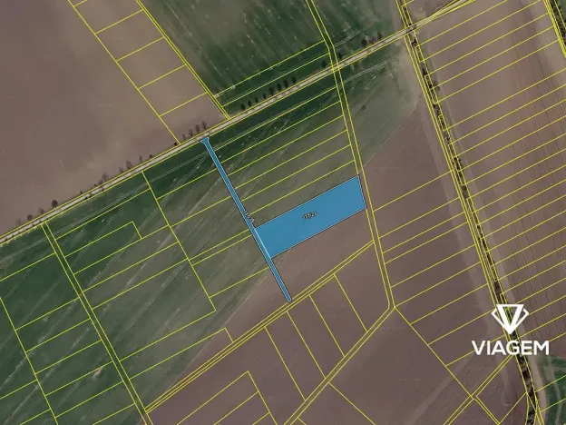 Prodej podílu pole, Třibřichy, 471 m2