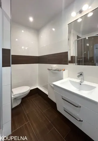 Pronájem bytu 1+1, Brno, Schwaigrova, 35 m2