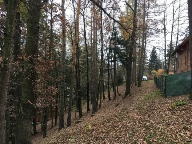 Prodej chaty, Doudleby, 50 m2