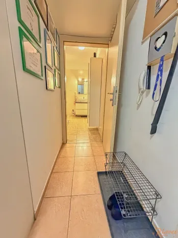 Prodej bytu 2+kk, Kralupy nad Vltavou, Přemyslova, 50 m2
