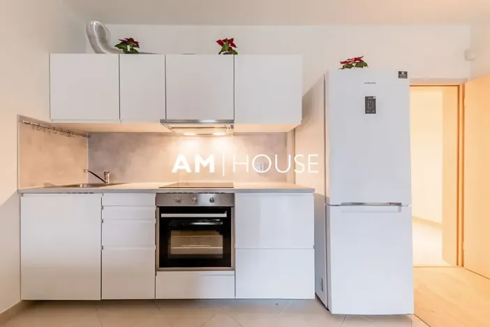 Pronájem bytu 2+kk, Praha - Žižkov, Olšanská, 62 m2
