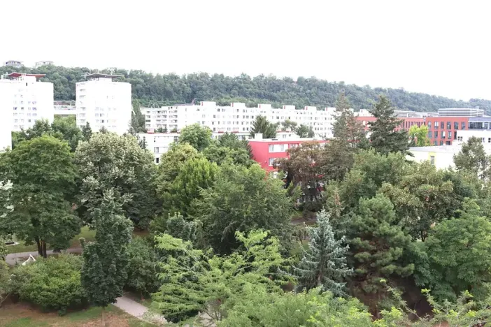Prodej bytu 1+kk, Praha - Karlín, Nekvasilova, 29 m2
