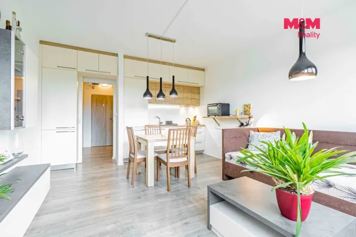 Prodej bytu 1+kk, Havířov - Šumbark, Letní, 30 m2
