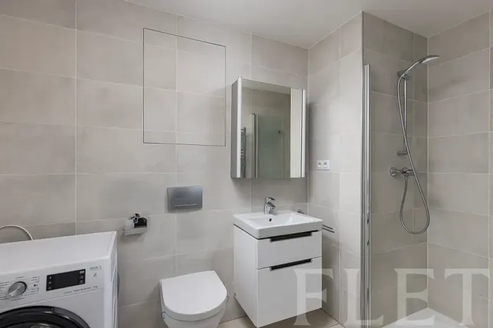 Pronájem bytu 2+kk, Praha - Žižkov, Hartigova, 47 m2