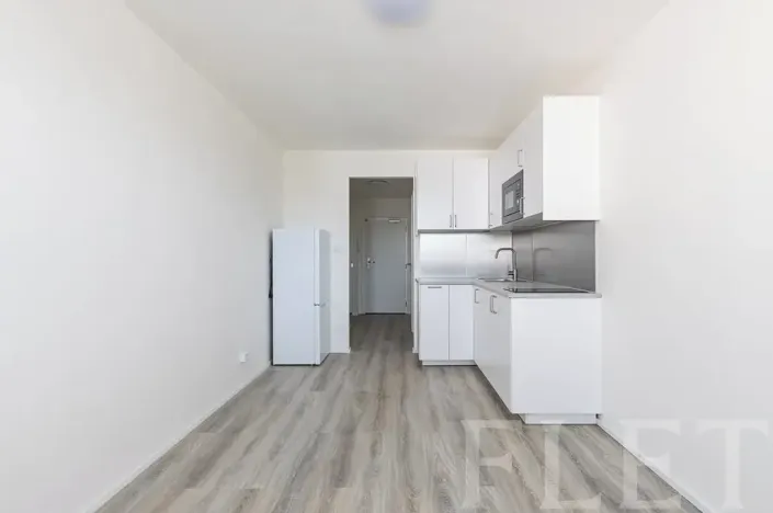 Pronájem bytu 1+kk, Praha - Chodov, Čenětická, 23 m2