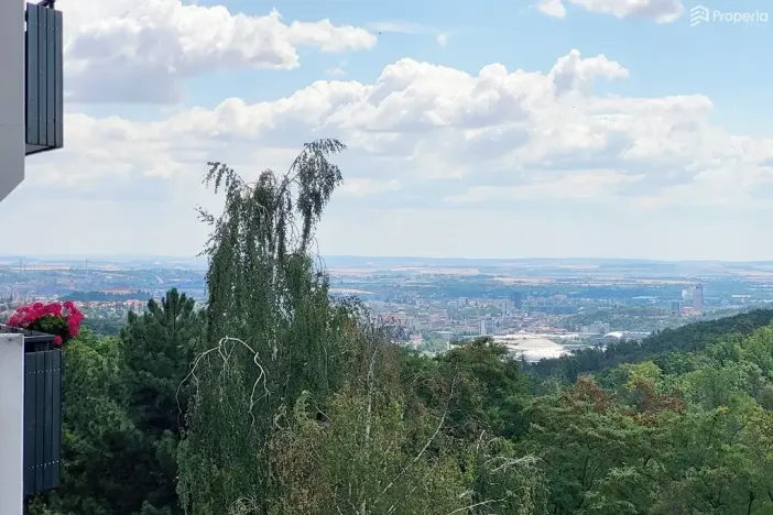 Prodej bytu 2+1, Brno, Voříškova, 52 m2