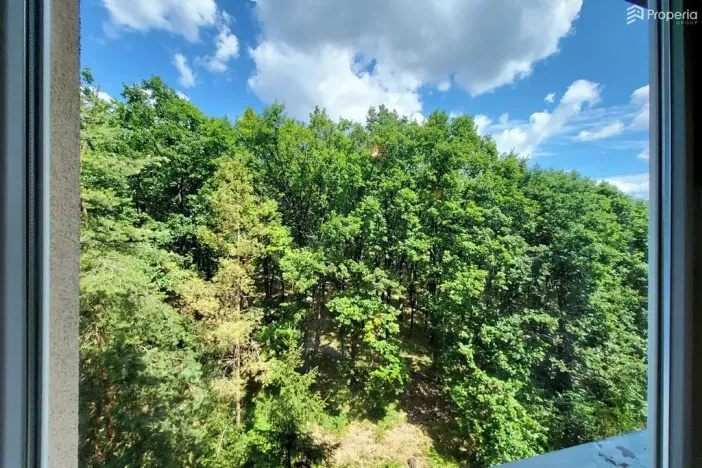 Prodej bytu 2+1, Brno, Voříškova, 52 m2