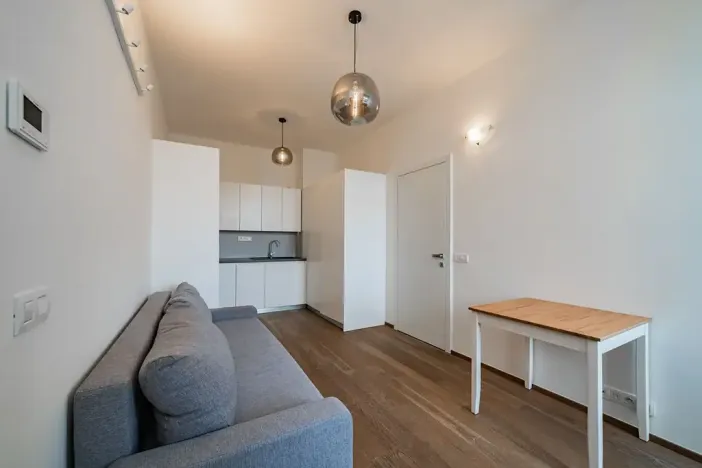 Pronájem bytu 1+1, Praha - Žižkov, Řehořova, 32 m2