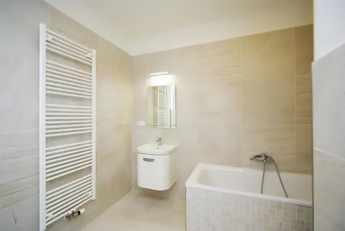 Pronájem bytu 1+1, Praha - Vinohrady, Mánesova, 47 m2