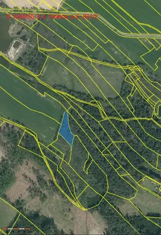 Prodej lesa, Světce, 3033 m2