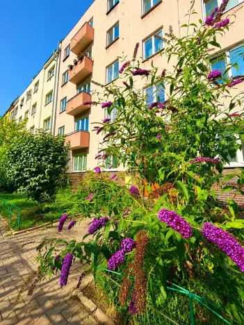 Prodej bytu 2+1, Praha, Pelhřimovská, 73 m2
