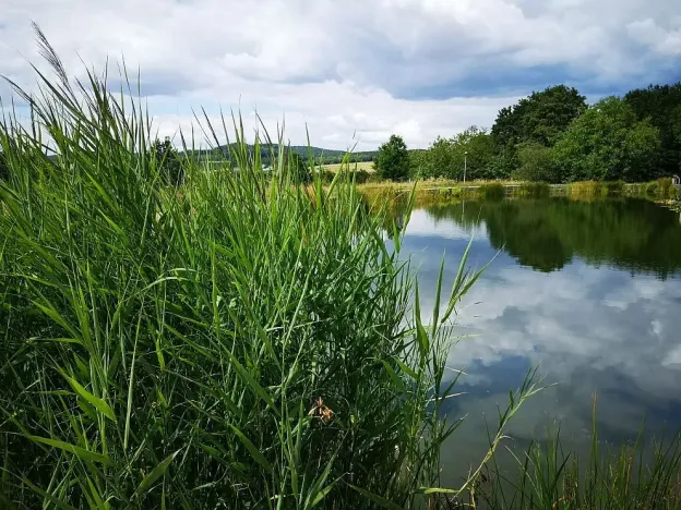 Pronájem bytu 2+kk, Zlín, Podlesí II, 72 m2