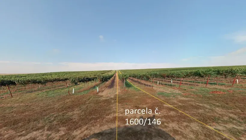 Prodej sadu/vinice, Terezín, 5465 m2