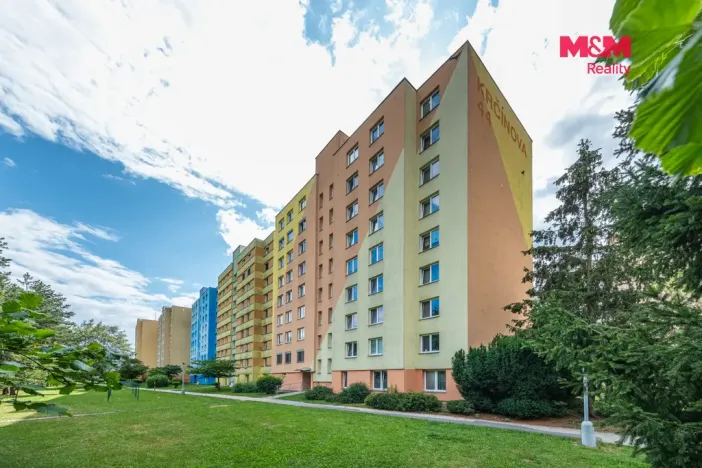 Prodej bytu 2+1, České Budějovice - České Budějovice 2, Krčínova, 72 m2