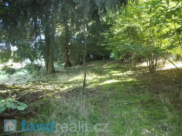 Prodej pole, Kolinec, 2385 m2