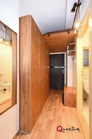 Pronájem bytu 1+kk, Praha - Vinohrady, Fričova, 32 m2