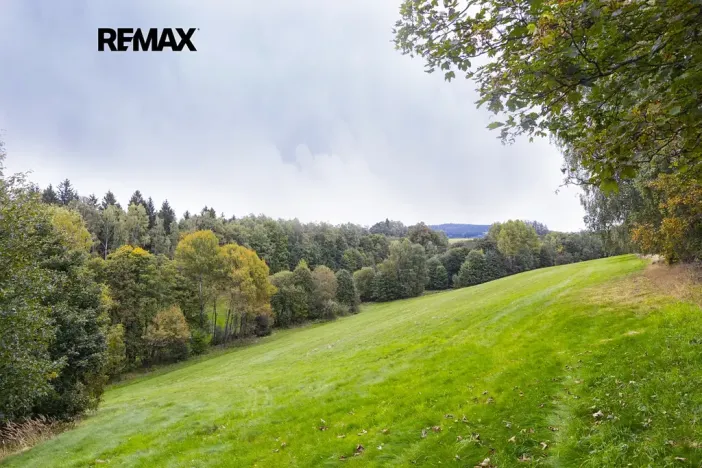 Prodej louky, Orličky, 61702 m2