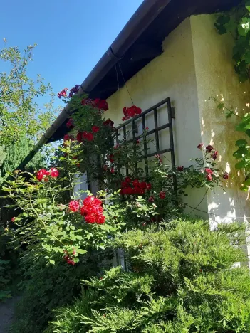 Prodej chaty, Kostelec u Holešova, 17 m2