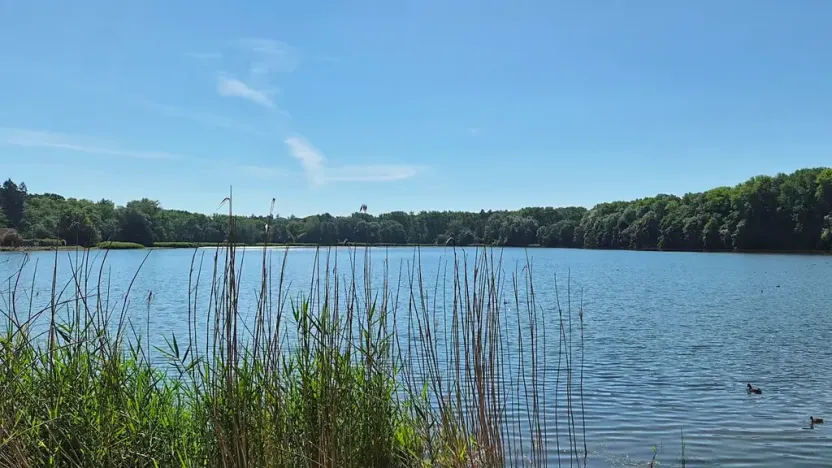 Prodej bytu 4+1, Hostivice, Litovická, 140 m2