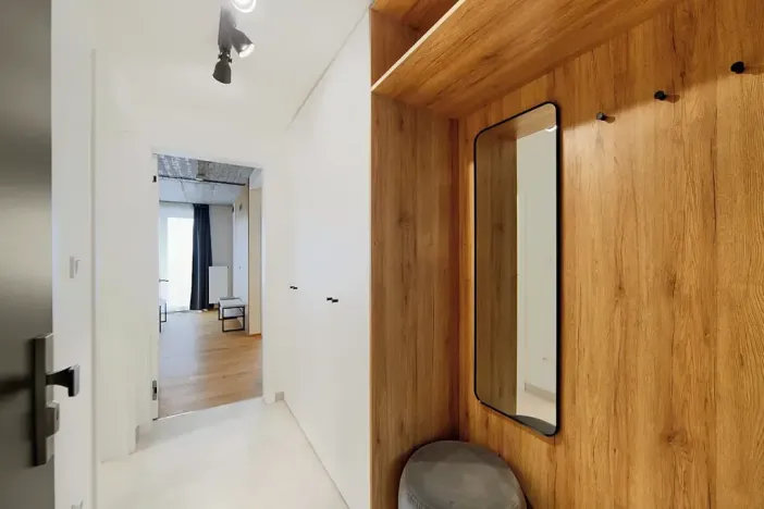 Pronájem bytu 2+kk, Brno, Cejl, 47 m2