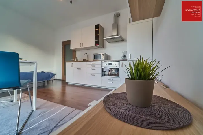Pronájem bytu 1+kk, Mariánské Lázně, Dvořákova, 25 m2