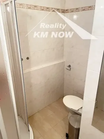 Pronájem bytu 1+kk, Kroměříž, 17. listopadu, 33 m2