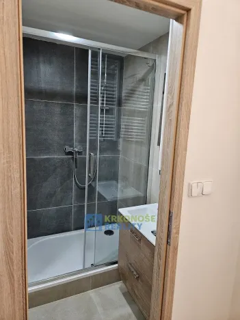 Pronájem bytu 1+kk, Praha - Podolí, Kaplická, 25 m2